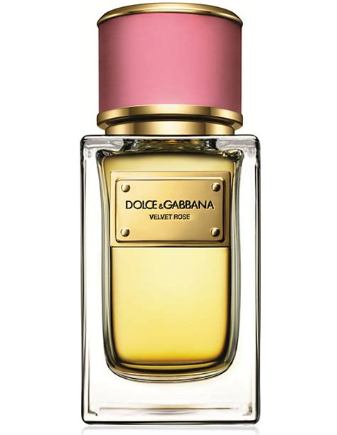 eau de parfum donna dolce gabbana
